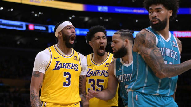 Anthony Davis Christian Wood Charlotte Hornets Nick Richards